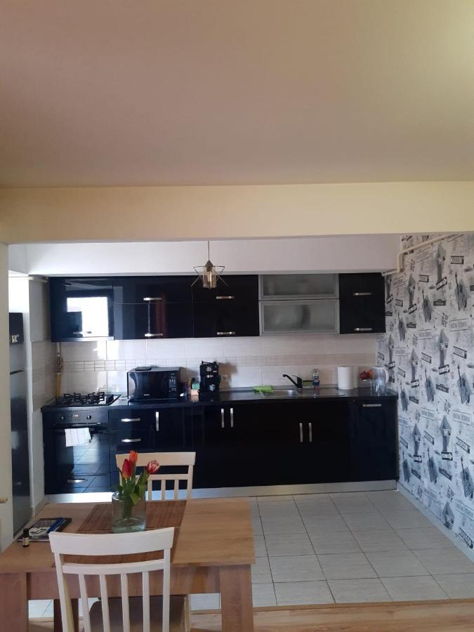 Apartament 3 Camere Рымнику-Вылча Экстерьер фото