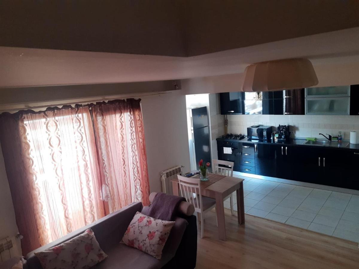 Apartament 3 Camere Рымнику-Вылча Экстерьер фото