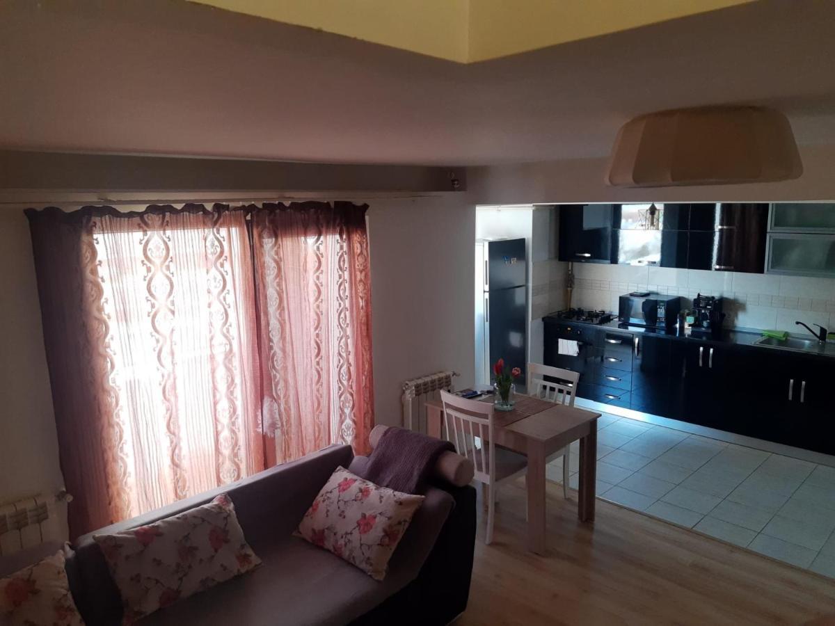 Apartament 3 Camere Рымнику-Вылча Экстерьер фото