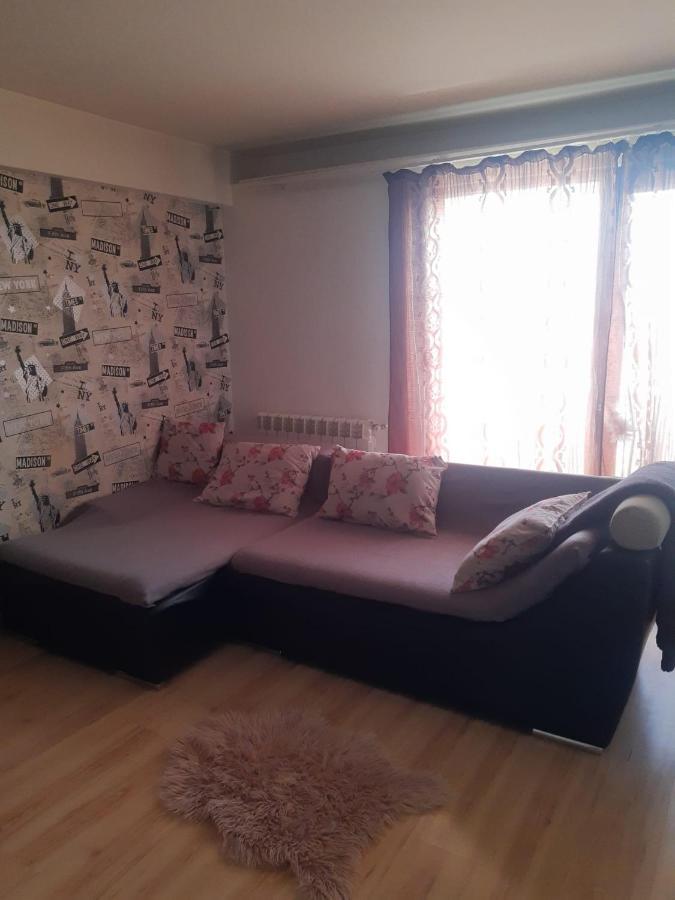 Apartament 3 Camere Рымнику-Вылча Экстерьер фото