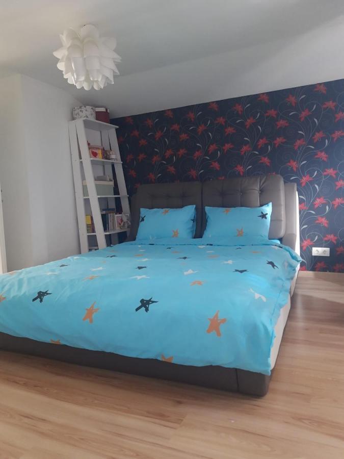 Apartament 3 Camere Рымнику-Вылча Экстерьер фото